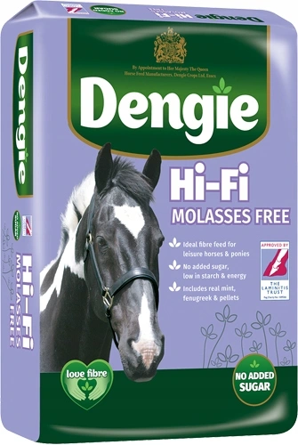 Pasza Dengie Hi-Fi Molasses Free 20 kg