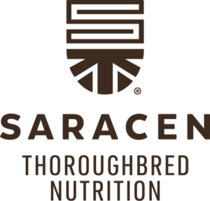 Saracen