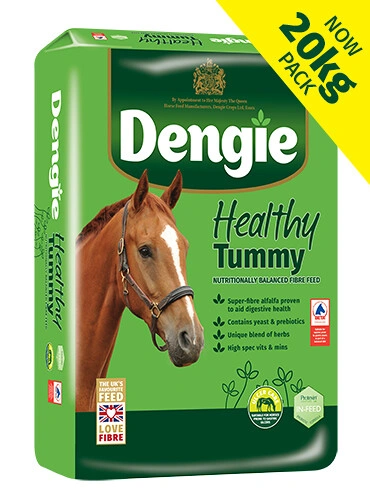 Dengie Healthy Tummy 20 kg - sieczka dla koni w grupie ryzyka choroby wrzodowej